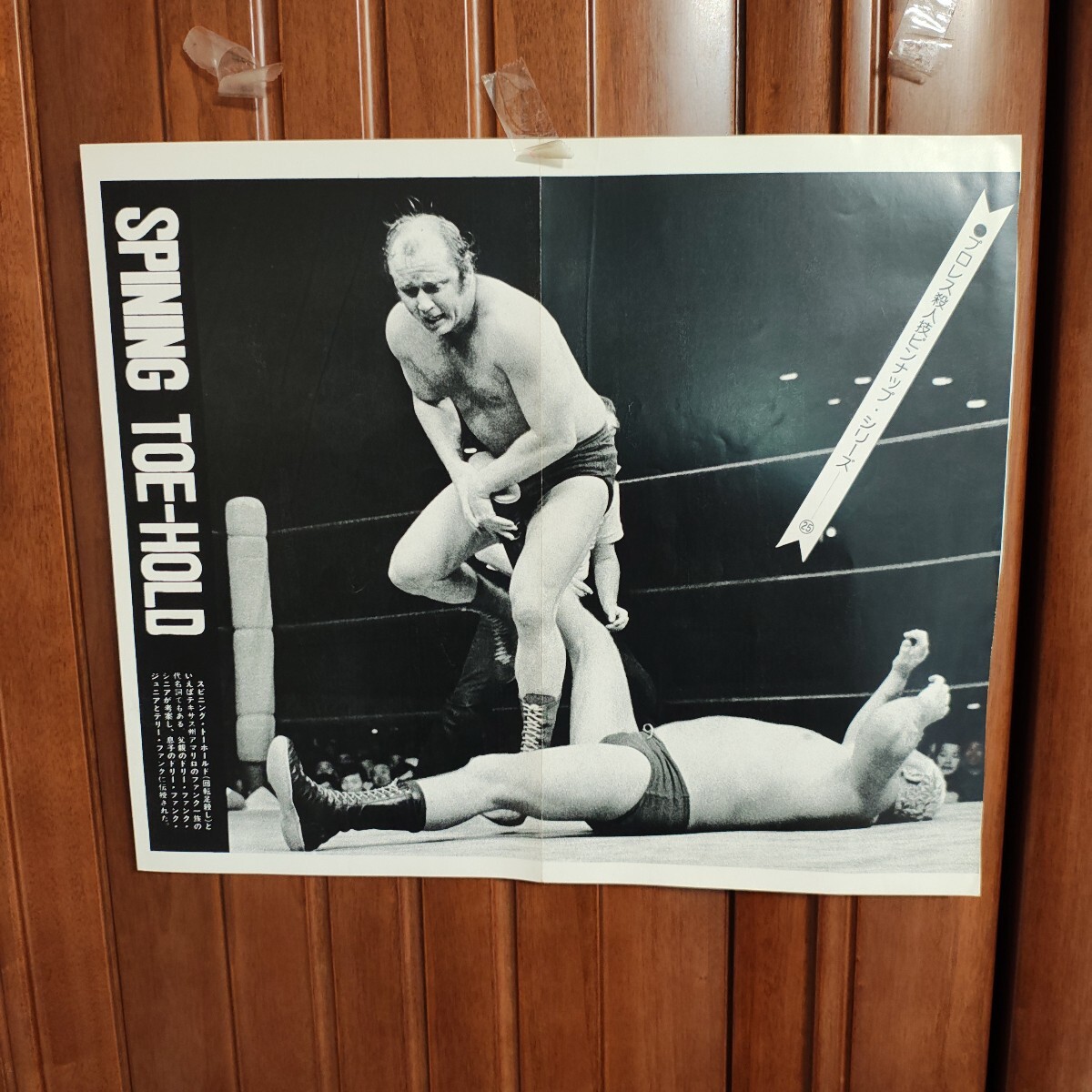 2026年最新】Yahoo!オークション -ドリーファンクジュニアの中古品