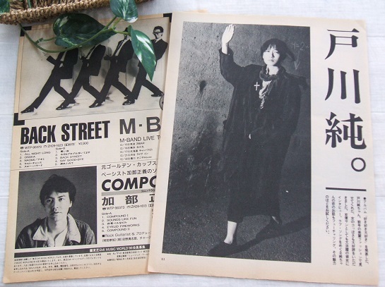 2026年最新】Yahoo!オークション -戸川純(印刷物)の中古品・新品・未