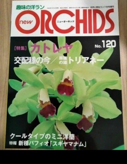 趣味の洋ラン ニューオーキッド2 冊No 92 94 洋蘭 洋ラン ORCHIDS