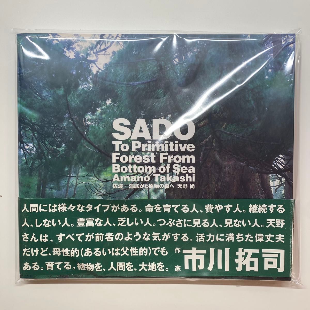美品 沙村広明/森馨 「蹂躙史エピトマイザ ある幻想の娼館