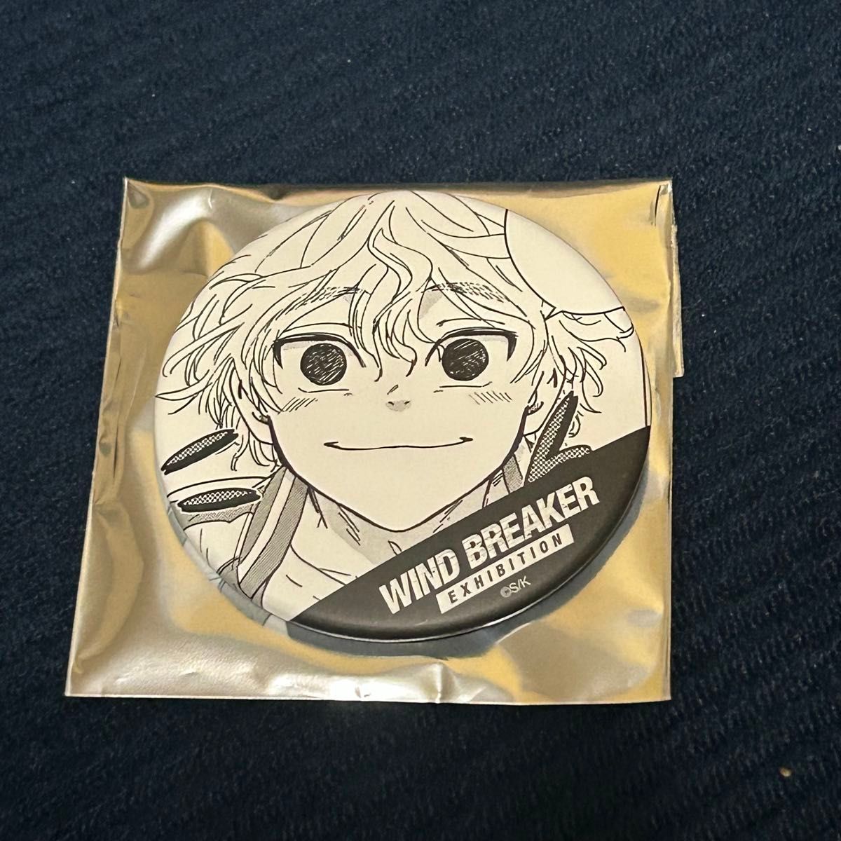WIND BREAKER ウィンブレ展 堂哉真斗 えんどうやまと コマ缶バッジ