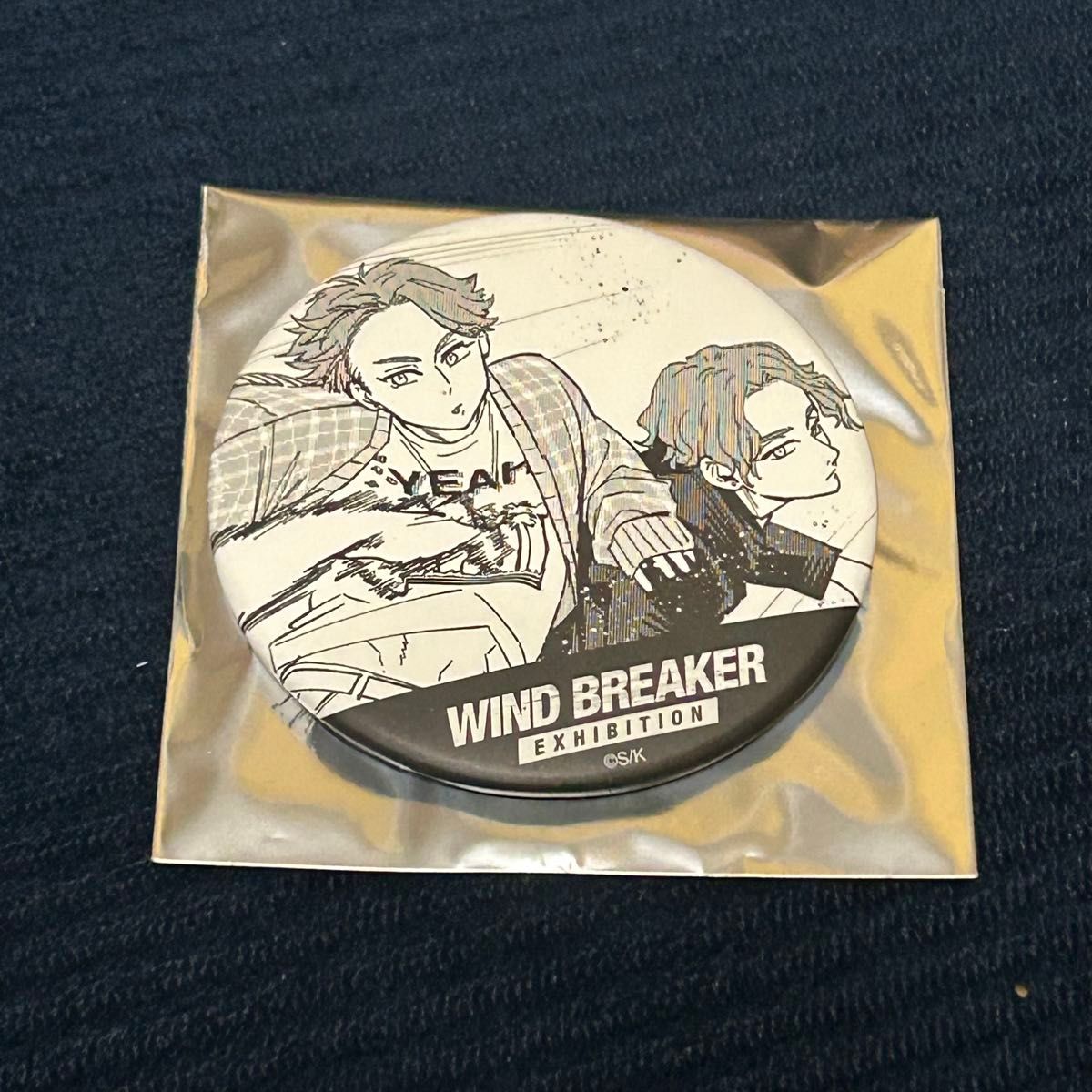 WINDBREAKER ウィンブレ ランダム原作コマ缶バッジ 榊晴竜 榊雨竜