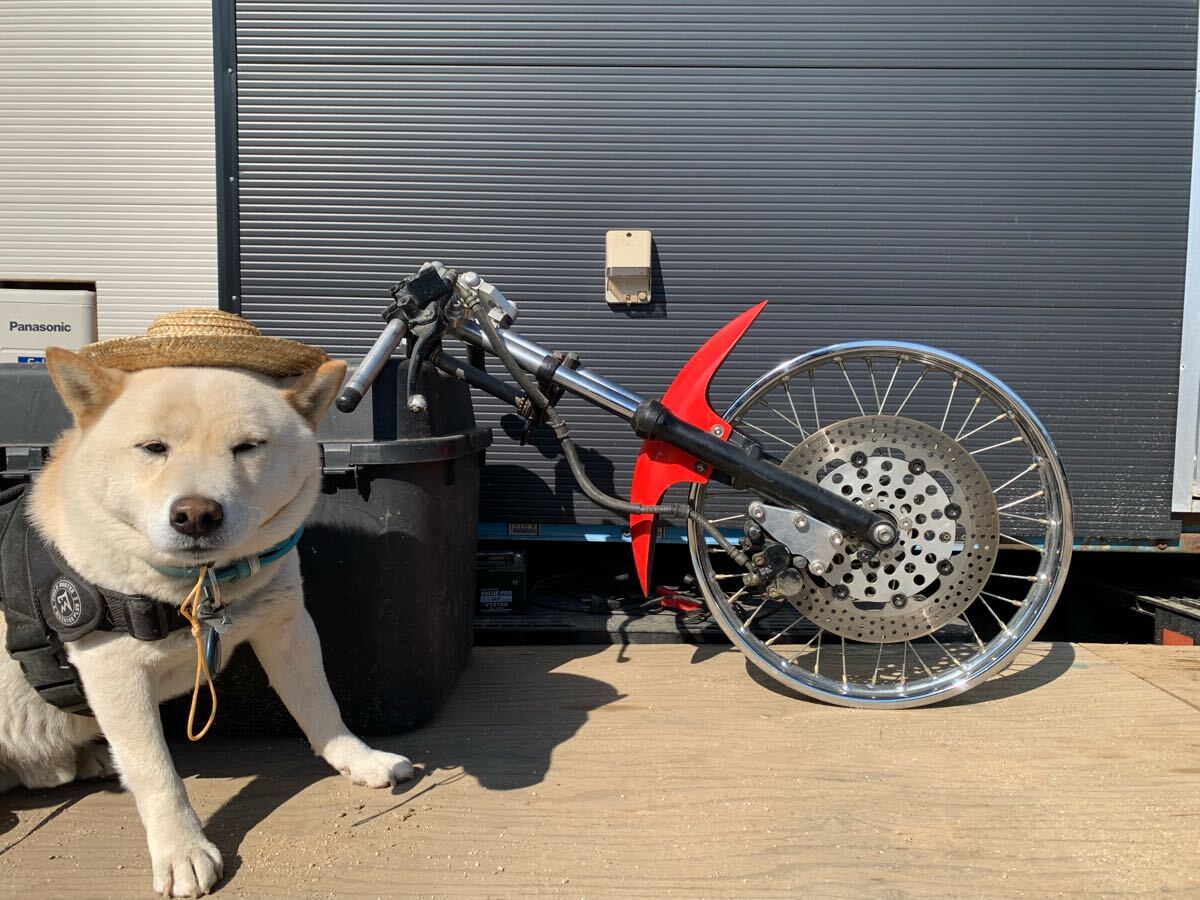 2026年最新】Yahoo!オークション -cb50 フロントフォークの中古品