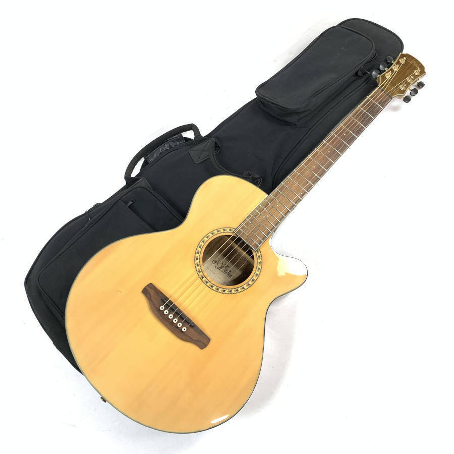 Aria TG-1N アコースティックギター 弦交換済み ソフトケース付き Aria