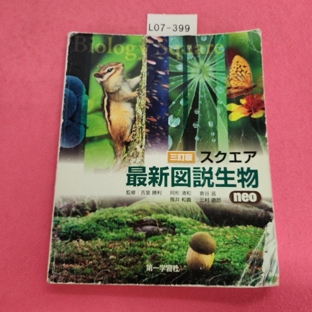 2026年最新】Yahoo!オークション -スクエア最新図説生物図説の中古品