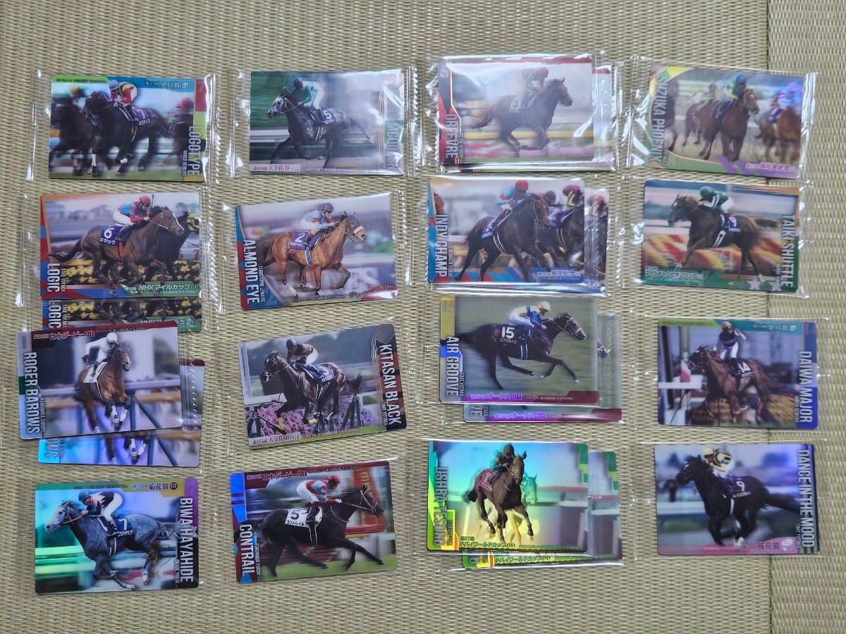 ジャングルポケット 角田晃一元騎手直筆サイン サラブレッドホース