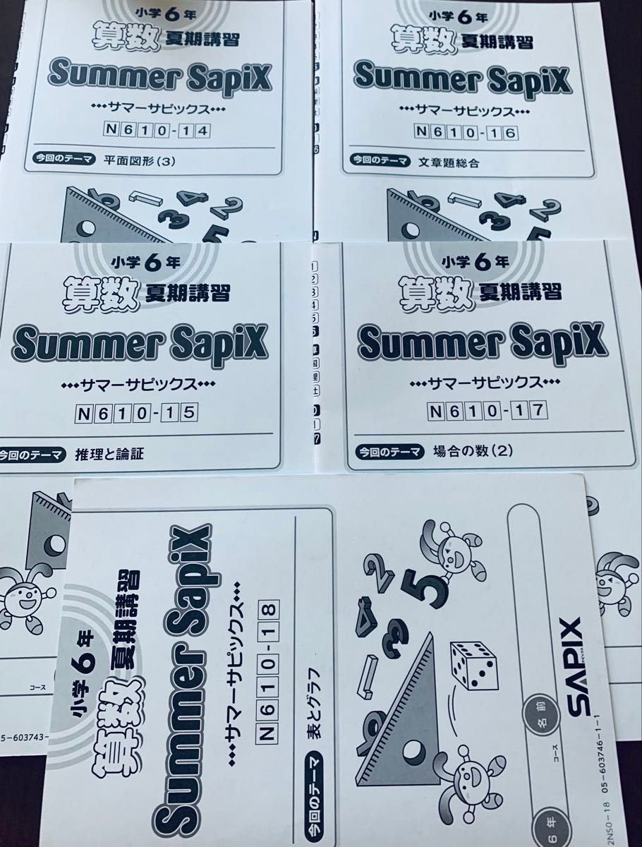 SAPIX サピックス小学4年 算数夏期講習サマーサピックスN41-01～N41-14