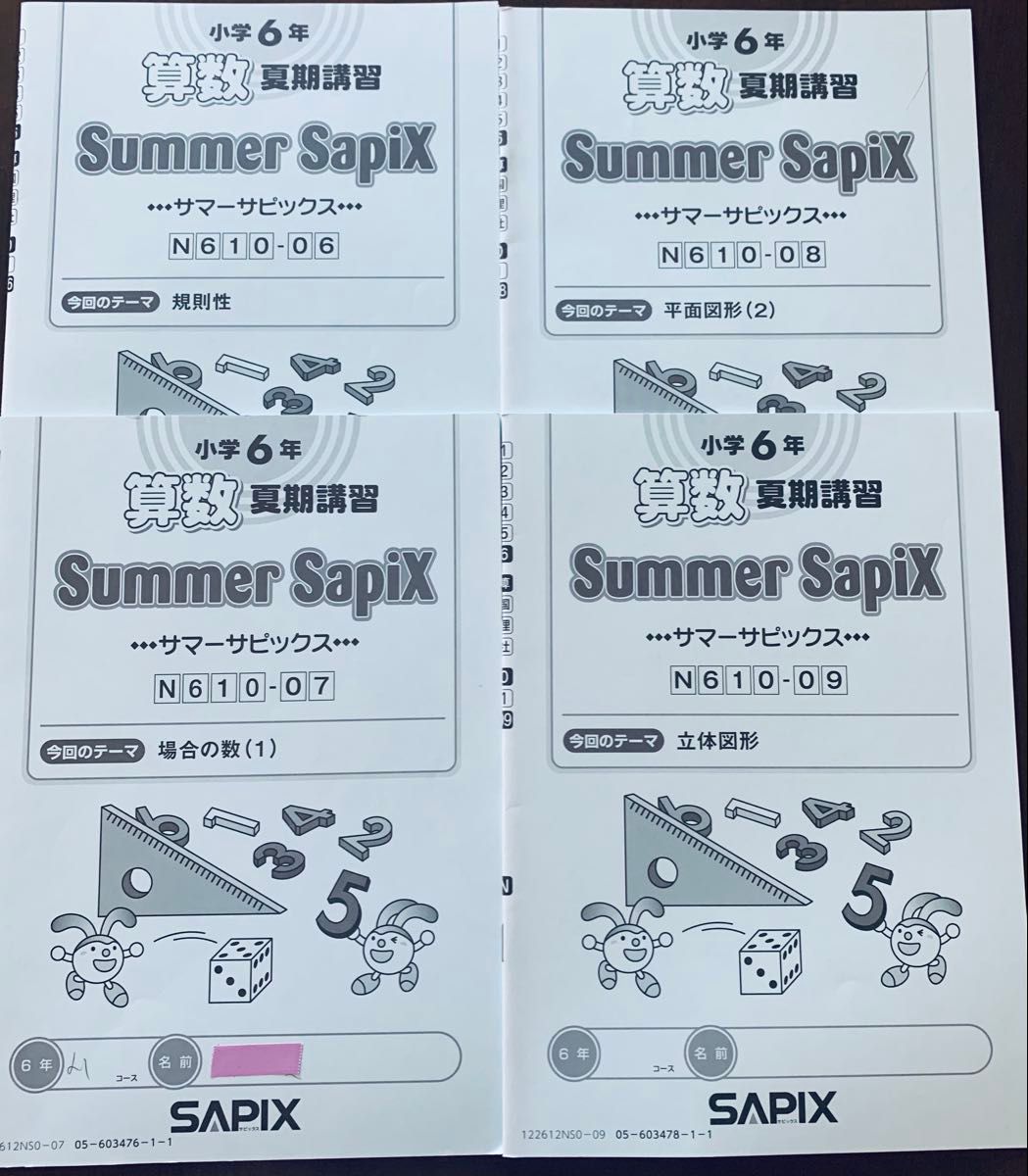 SAPIX サピックス小学4年 算数夏期講習サマーサピックスN41-01～N41-14
