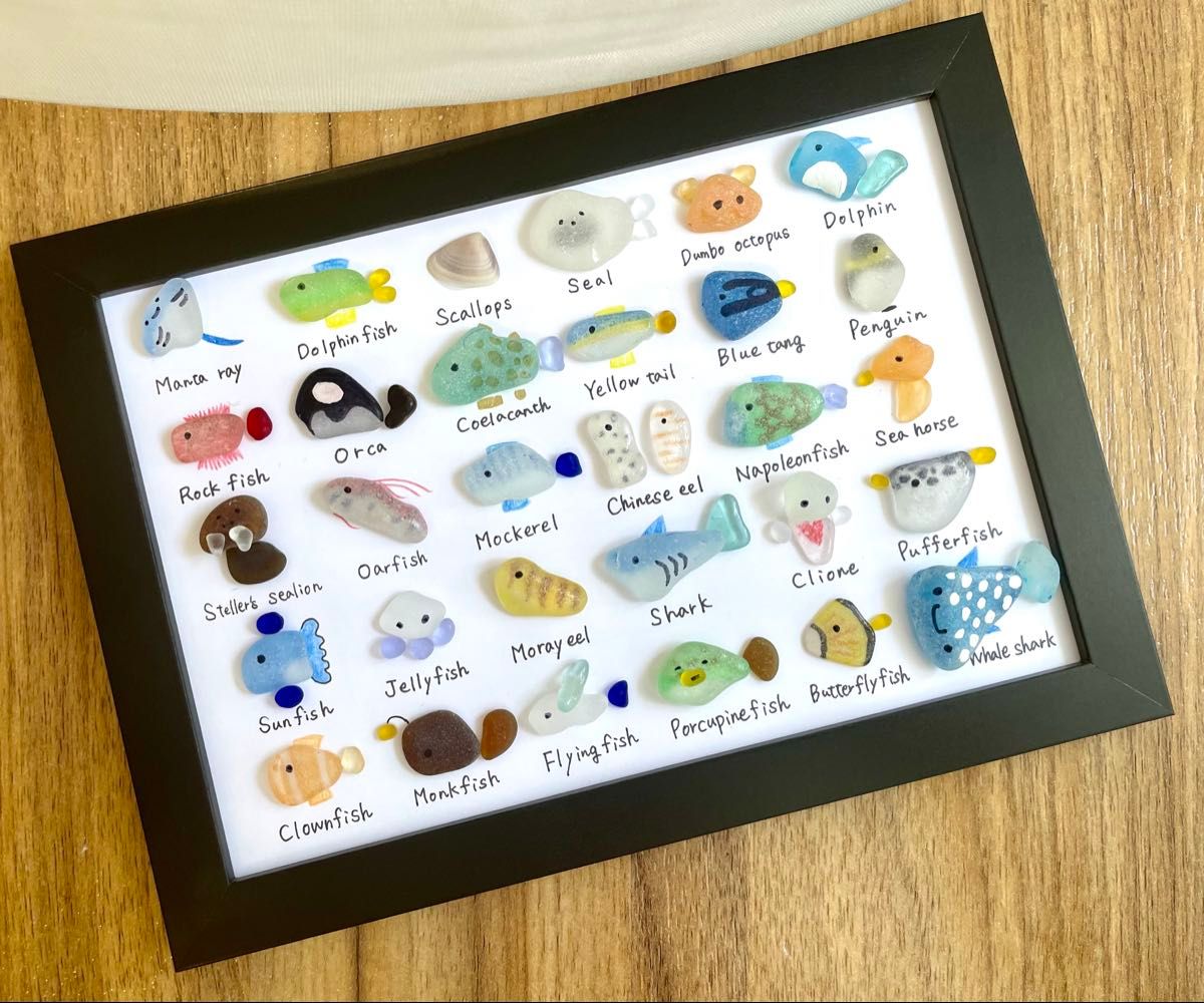 シーグラスアート No122 図鑑 海の生き物 6×5 置物 欧米 A5 クラゲ