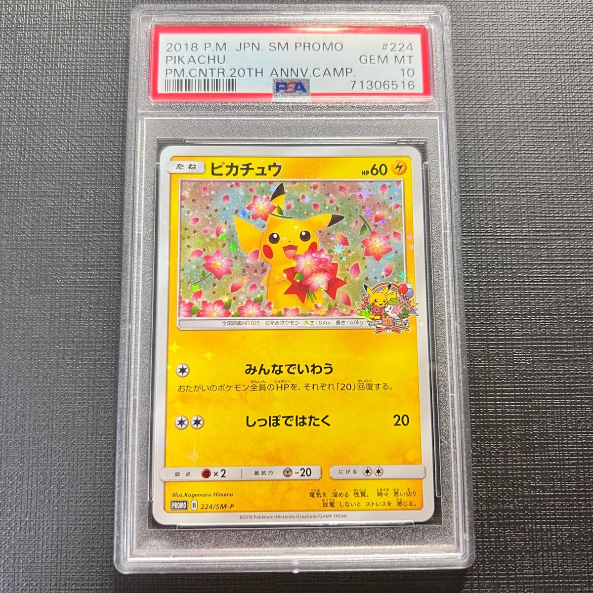 2026年最新】Yahoo!オークション -ピカチュウ 10周年記念の中古品
