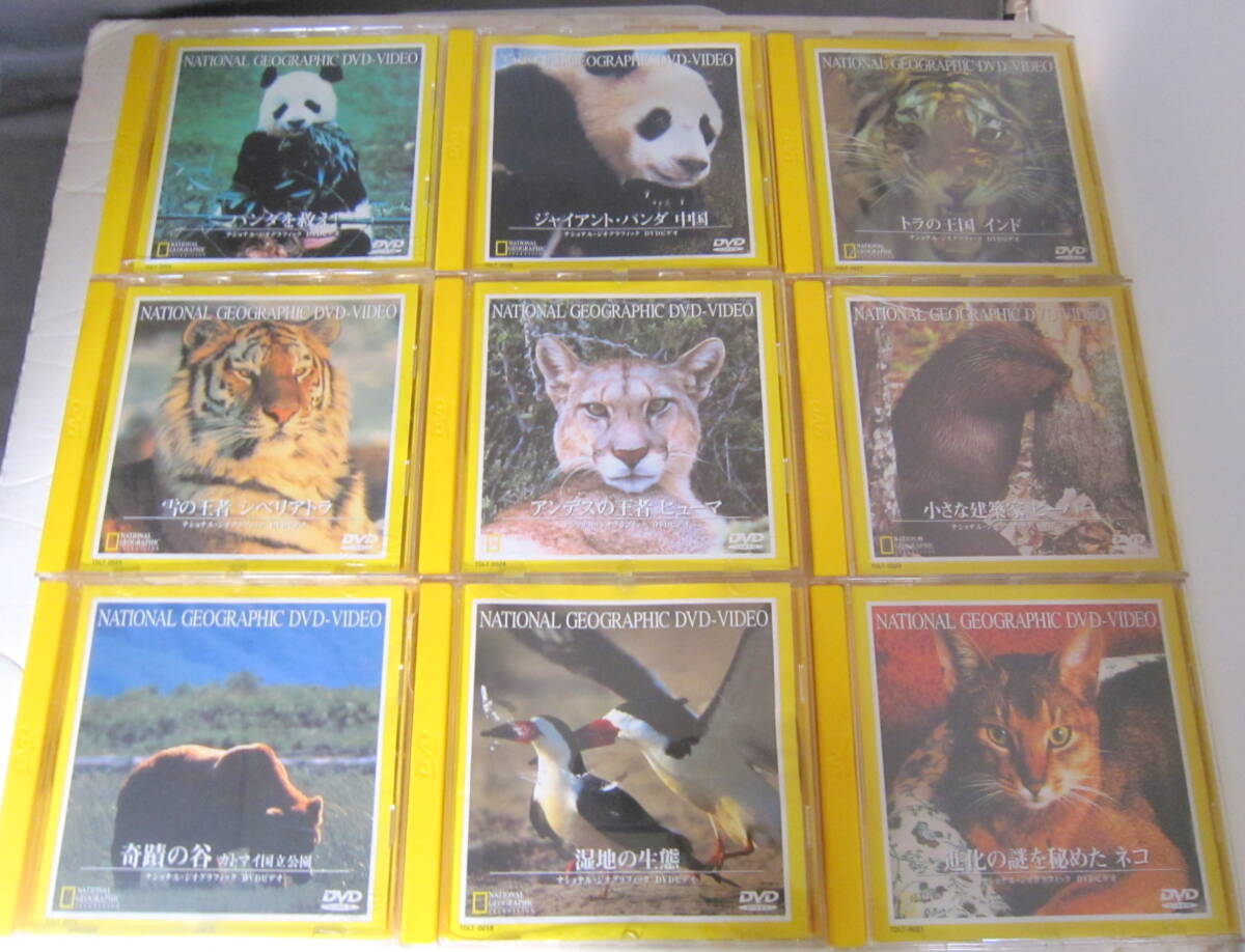 ポ*グ様 野生動物・ナショナルジオグラフィック DVDセットほぼ揃ってます2