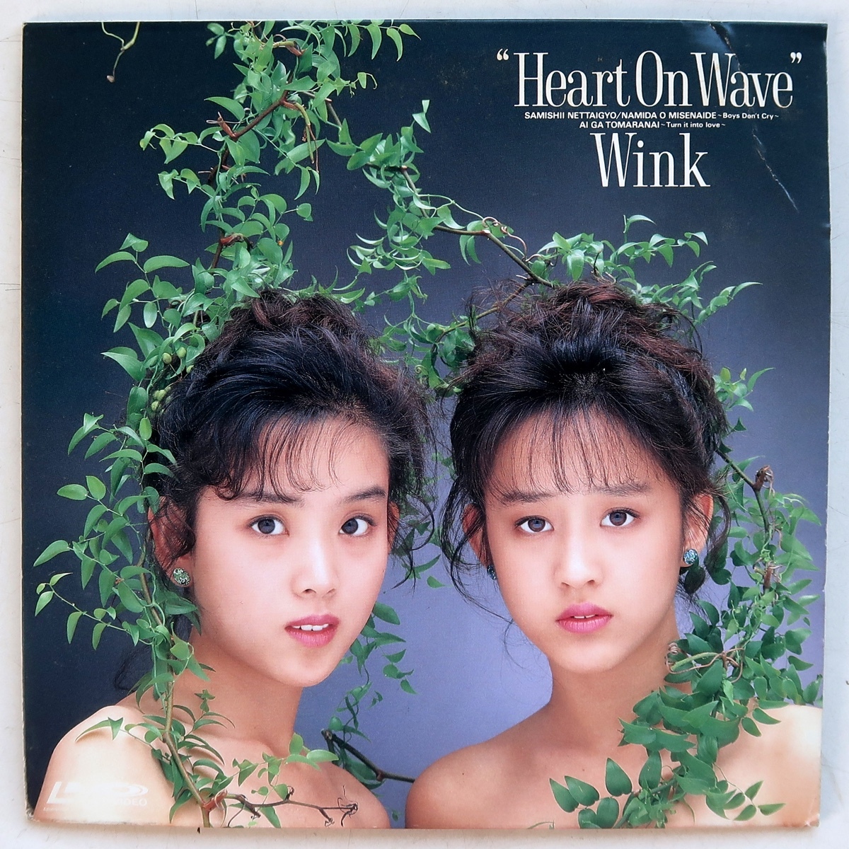 2026年最新】Yahoo!オークション -wink(レーザーディスク)の中古品