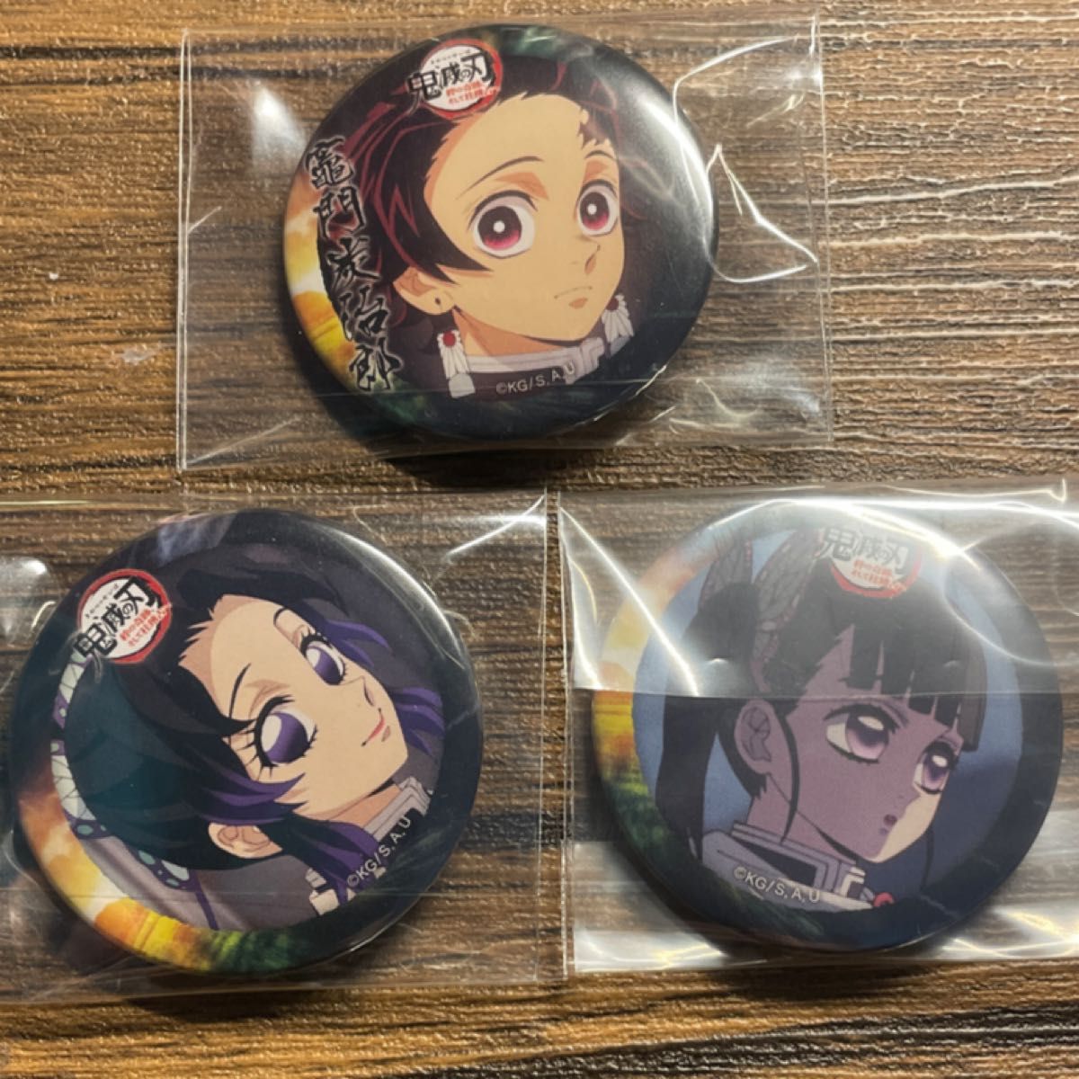 鬼滅の刃 柱展（福岡）スクエア缶バッジセット（横顔） 胡蝶しのぶ