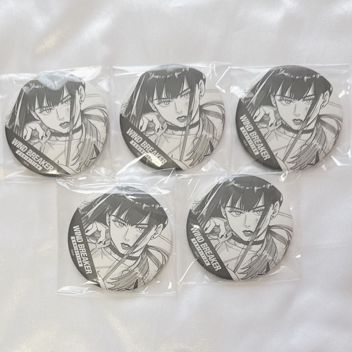 WIND BREAKER 展 ウィンドブレイカー ウィンブレ ランダム原作コマ缶