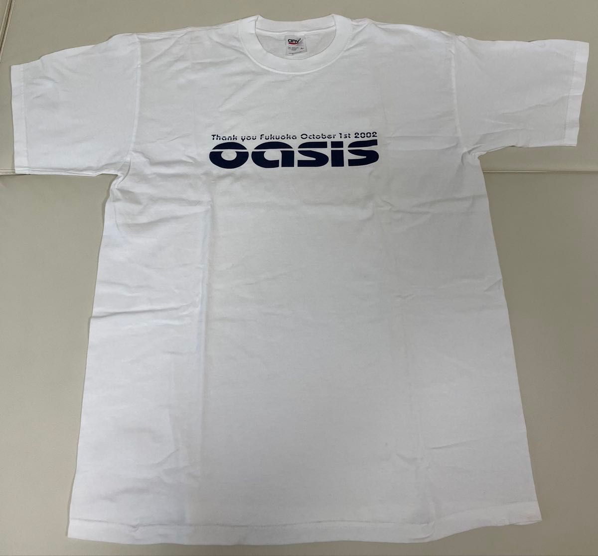 新品未使用 Mサイズ oasis Tシャツ 富士【日本限定】オアシス 来日公演