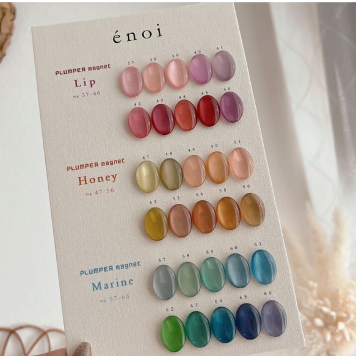 enoi エノイ プランパーマグ 38番 単品｜Yahoo!フリマ（旧PayPayフリマ）