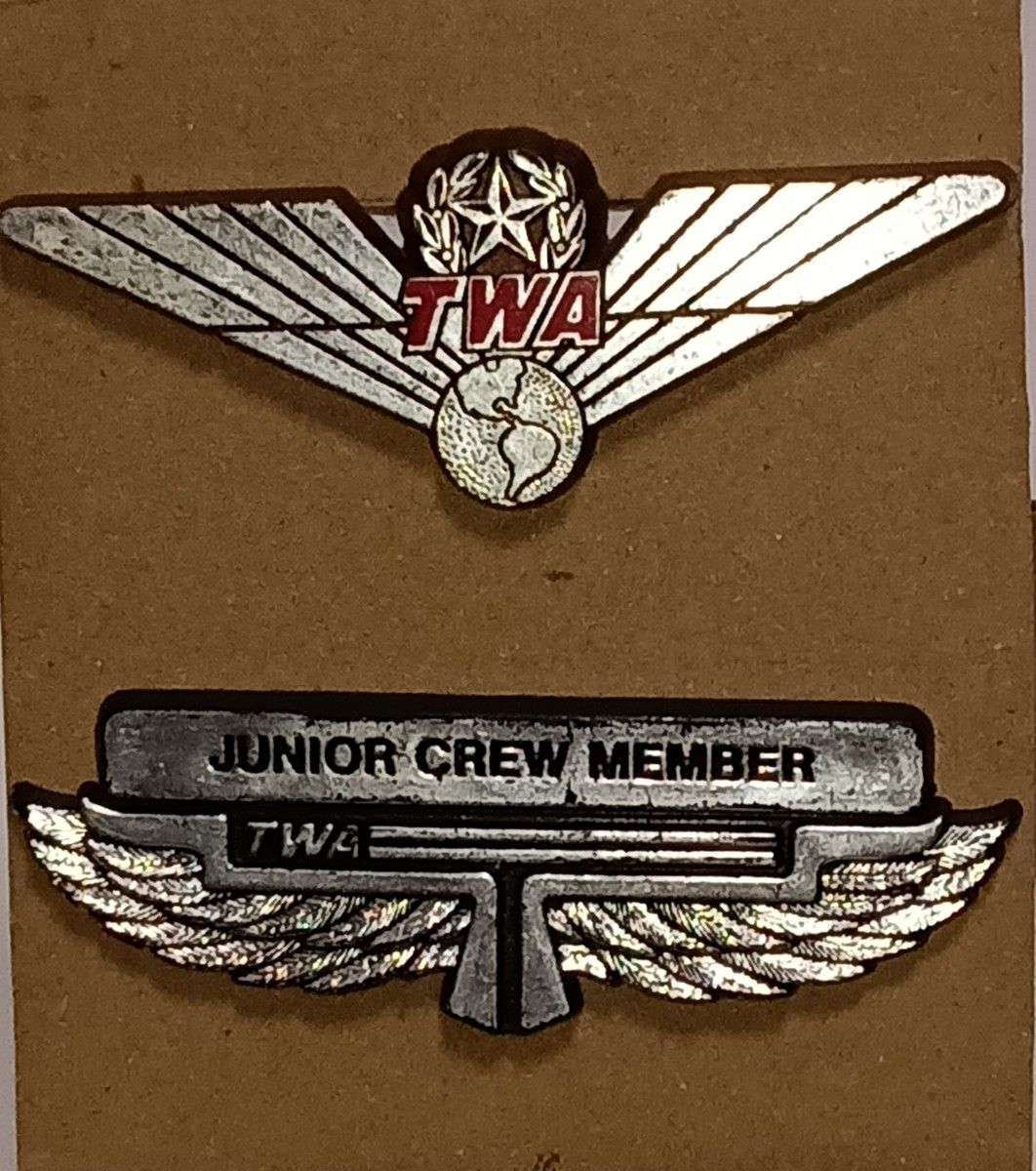 ANA 全日空 パイロットウイング バッチ 機長階級章セット｜Yahoo