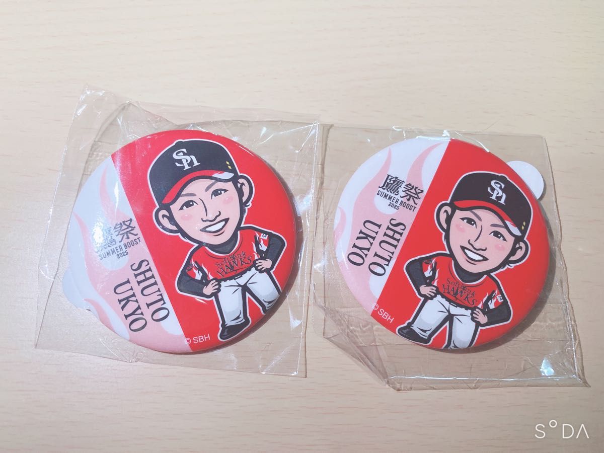 若鷹ガチャ ホークス 川瀬晃 ダイジェスト 100mm缶バッジ Amazon.co.jp