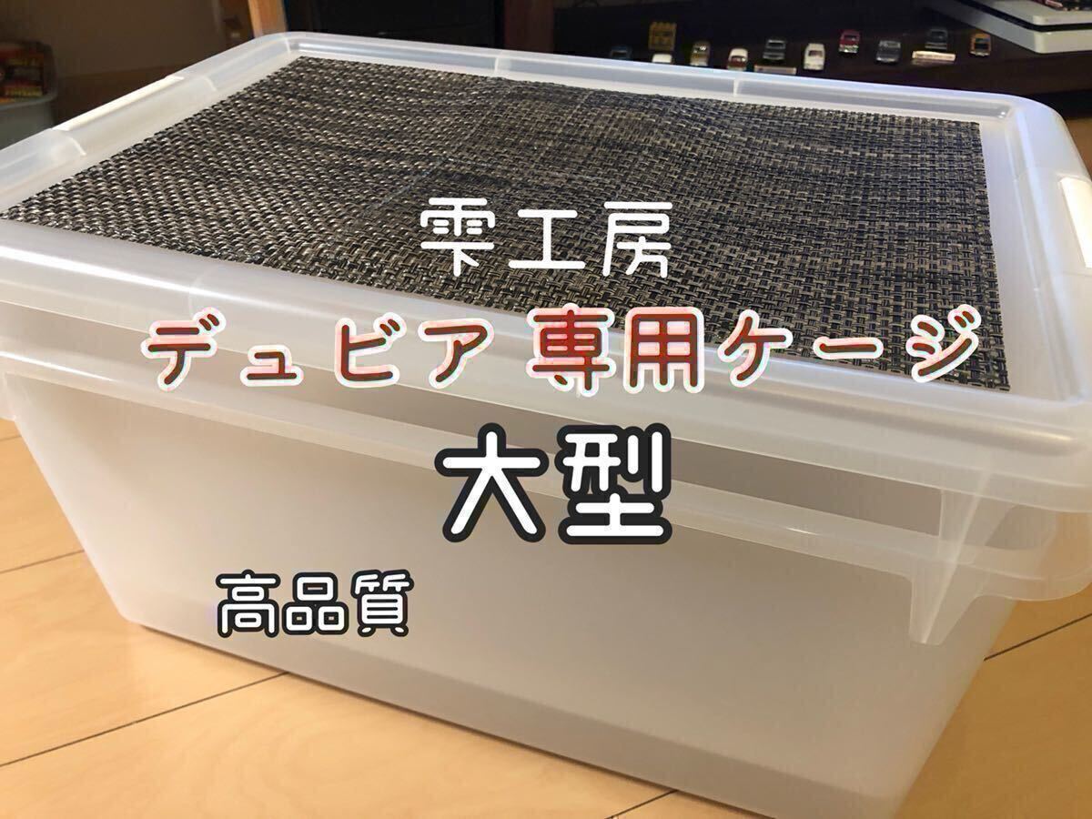 Yahoo!オークション -「デュビア」(飼育ケース) (爬虫類、両生類用品