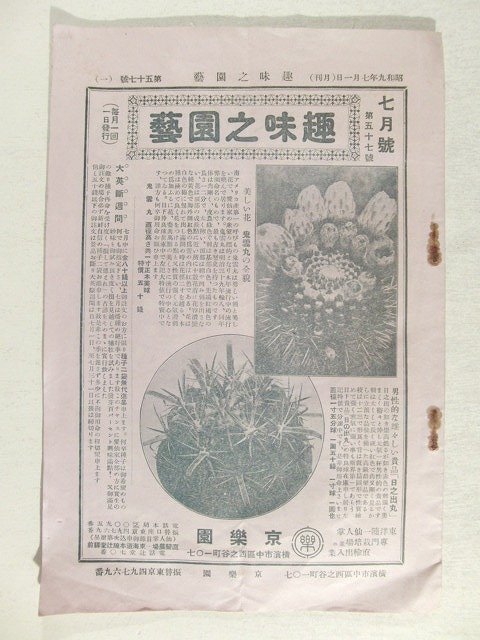 2026年最新】Yahoo!オークション -サボテン(本、雑誌)の中古品・新品