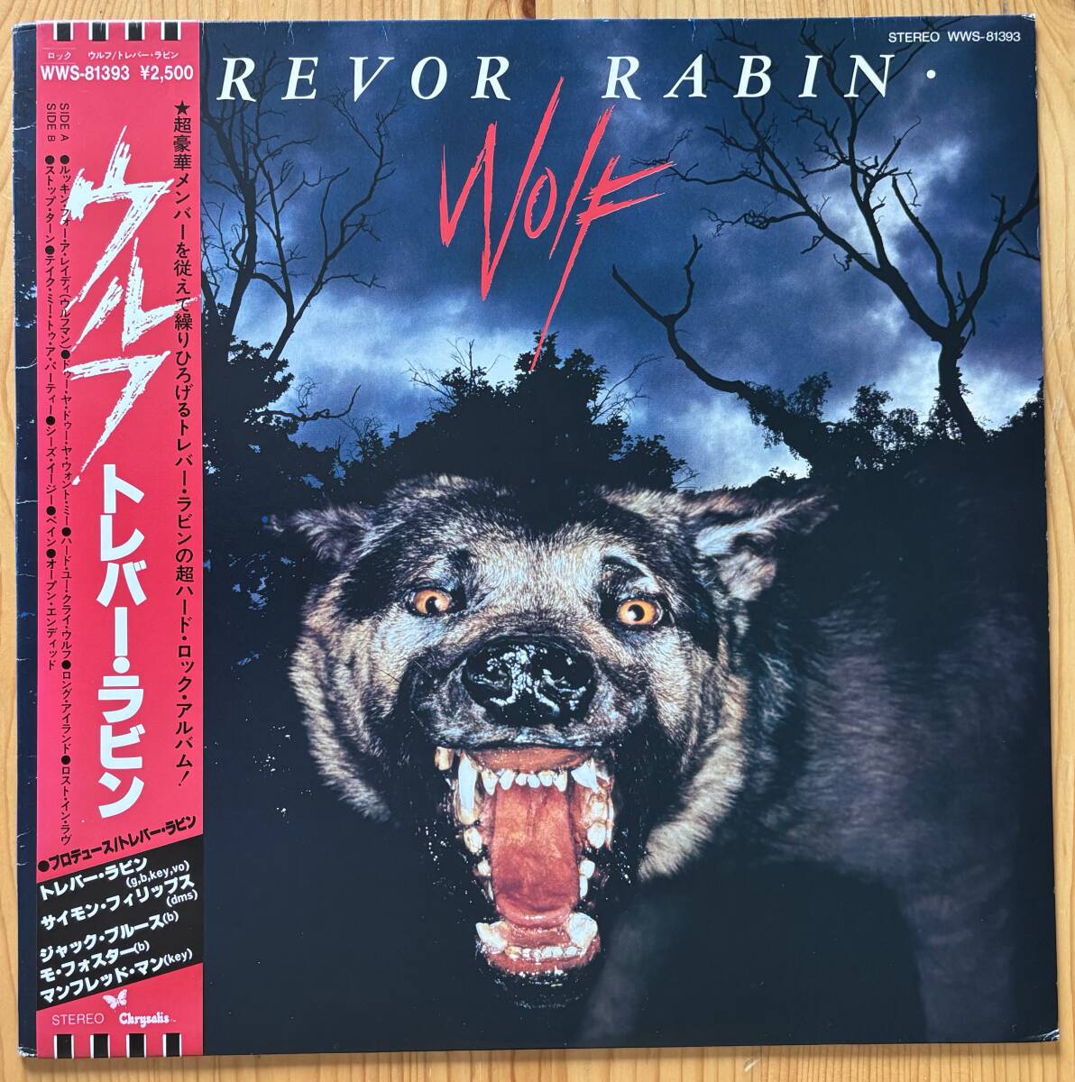 2026年最新】Yahoo!オークション -trevor rabin(音楽)の中古品・新品