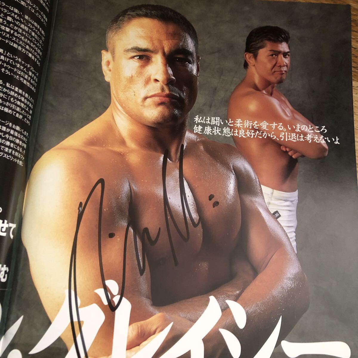 2026年最新】Yahoo!オークション -船木 ヒクソンの中古品・新品・未