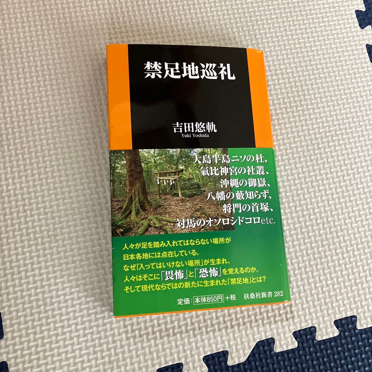 初版】扶桑社新書282 禁足地巡礼 吉田悠軌｜Yahoo!フリマ（旧PayPay