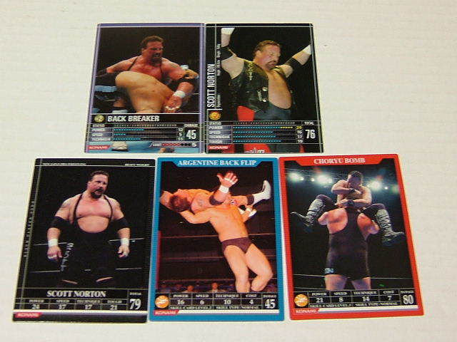 2026年最新】Yahoo!オークション -スコット・ノートン(格闘技