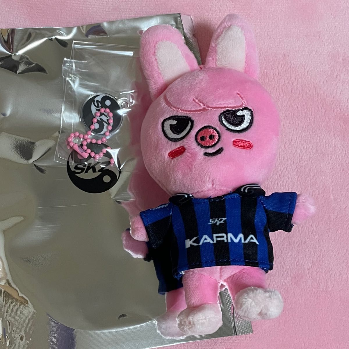 チャンビン まとめ売り スキズ dwaekki straykids トェッキ skzoo