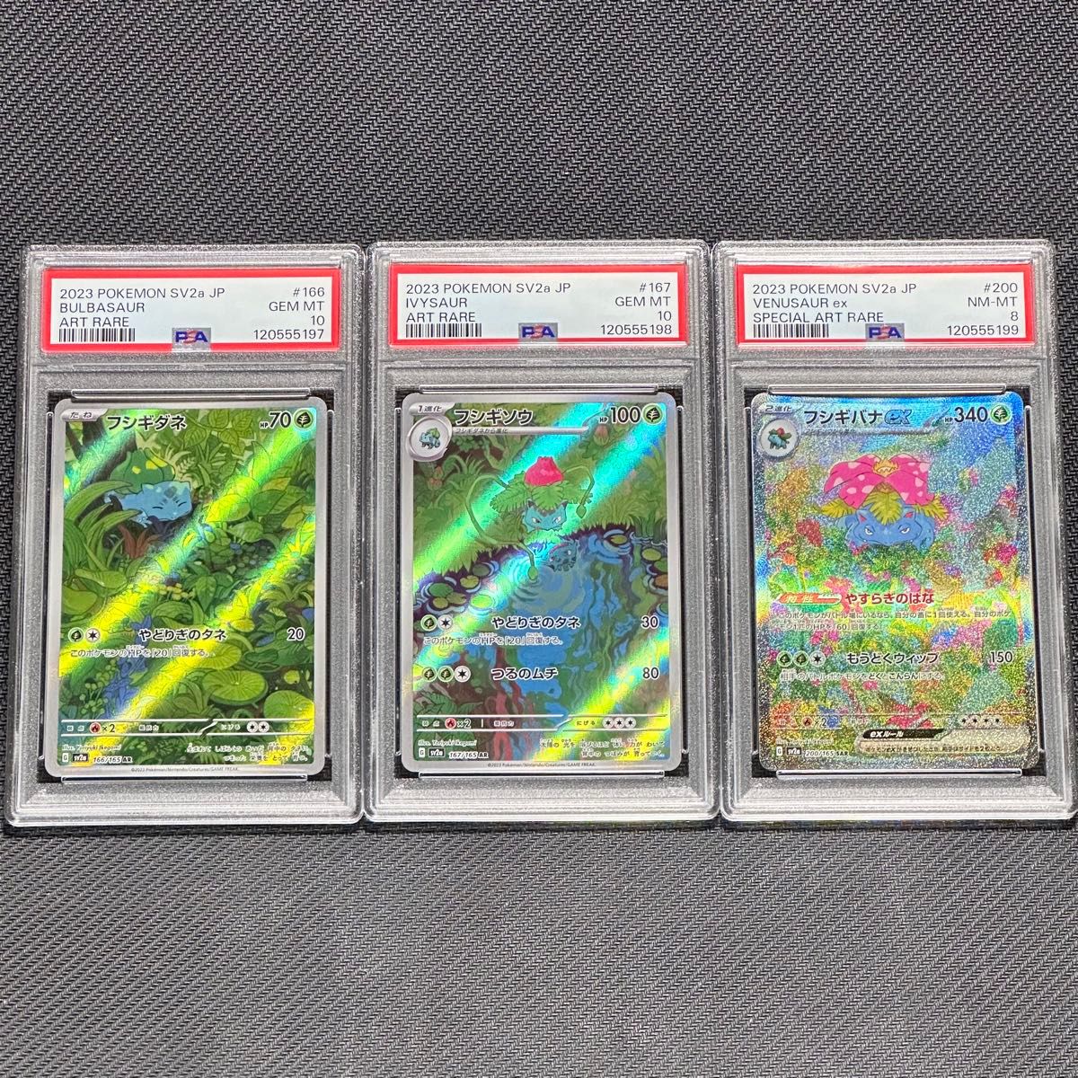 PSA10 9連番 ポケモンカード151 御三家 進化ライン｜Yahoo!フリマ（旧