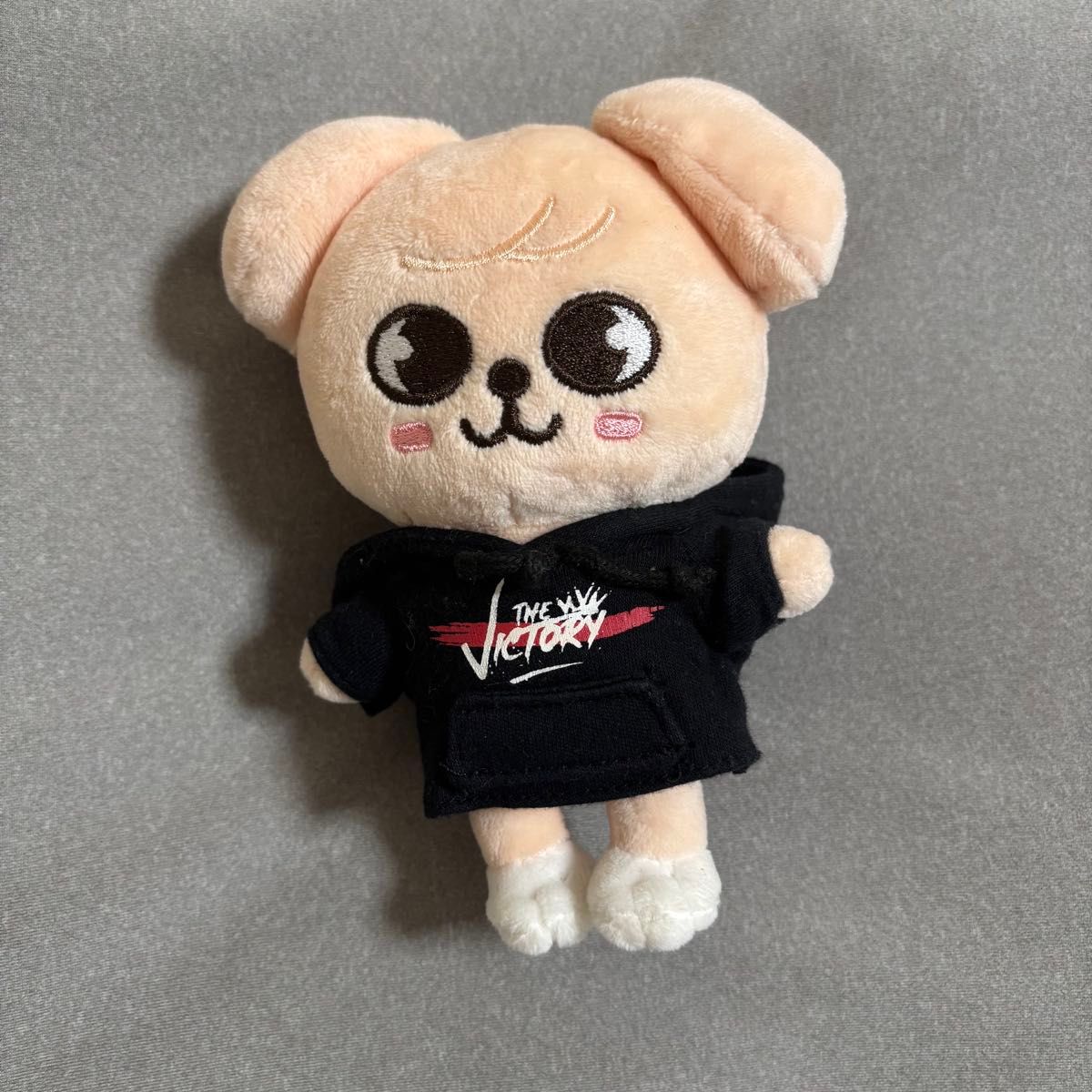 スキズ SKZOO EVIL スピーカーバージョン スンミン パピーム 新品②