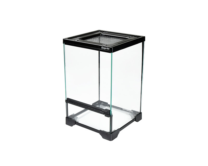 Yahoo!オークション -「デュビア」(飼育ケース) (爬虫類、両生類用品