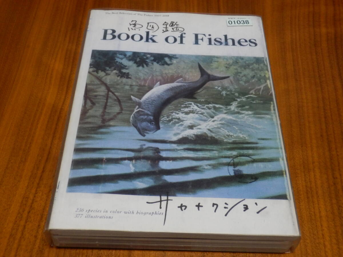 Yahoo!オークション -「新宝島 サカナクション」の落札相場・落札価格