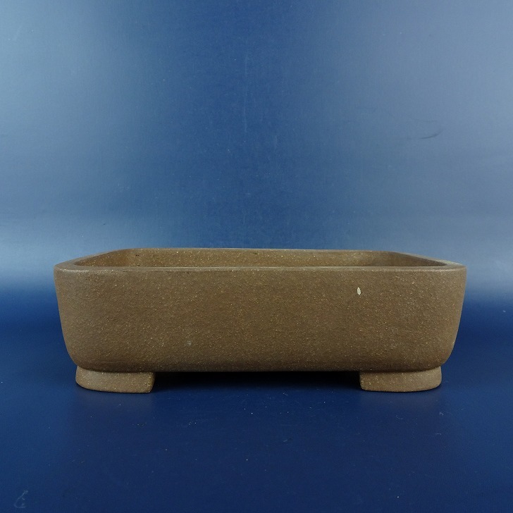 Yahoo!オークション -「周」(盆栽) の落札相場・落札価格