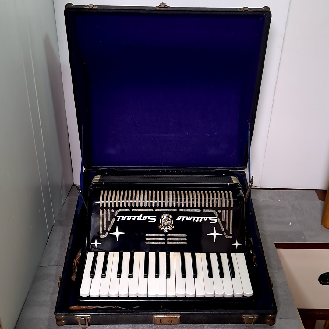 Yahoo!オークション -「soprani」(アコーディオン) (鍵盤楽器)の落札