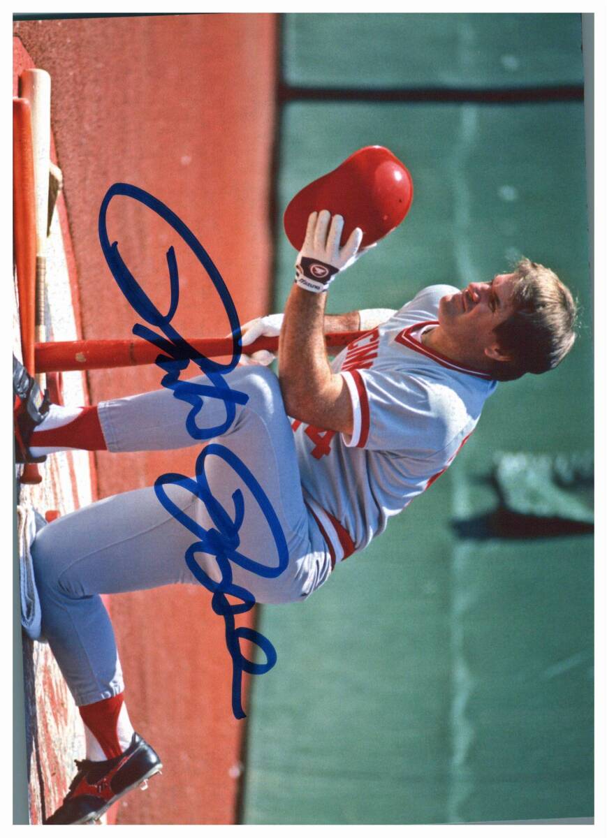 Yahoo!オークション -「ピートローズ サイン」の落札相場・落札価格