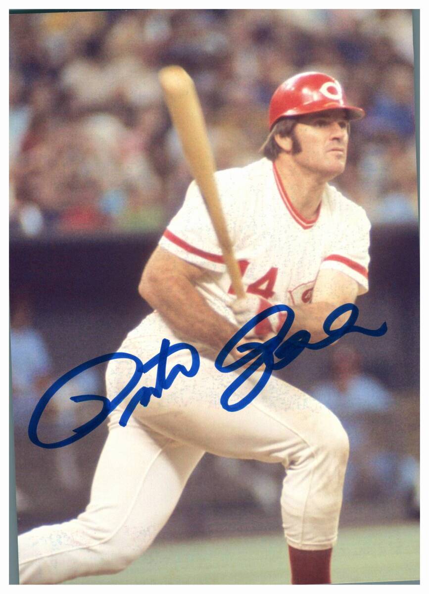 Yahoo!オークション -「ピートローズ サイン」の落札相場・落札価格