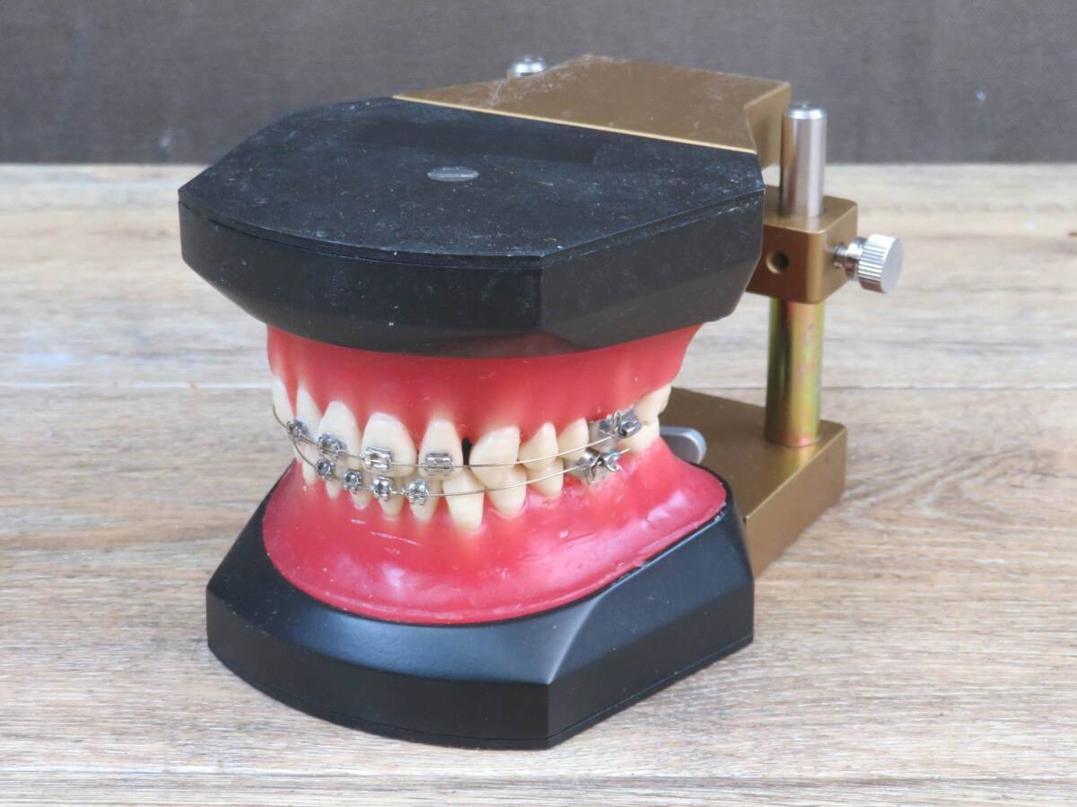 Yahoo!オークション -「タイポドント」(その他) (オーラルケア)の落札