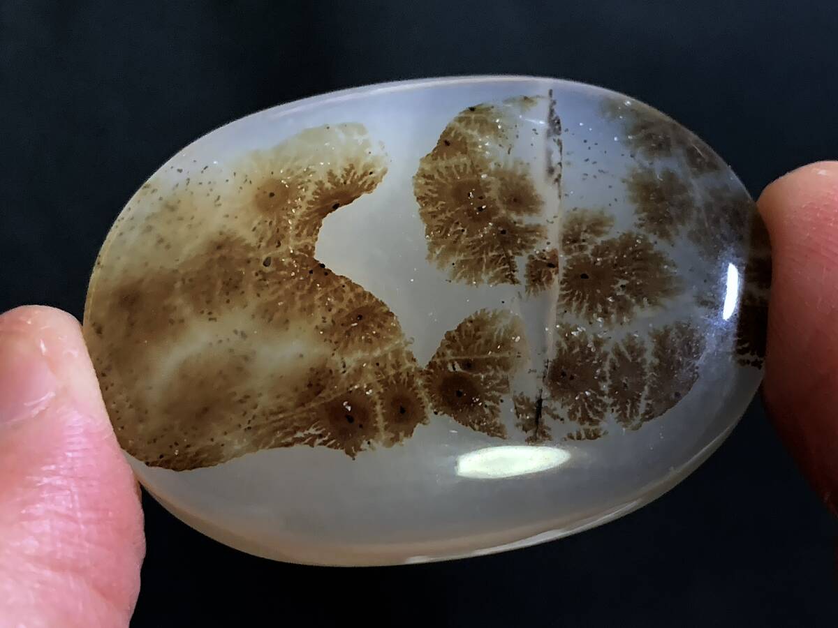 2026年最新】Yahoo!オークション -玉髄 原石(科学、自然)の中古品