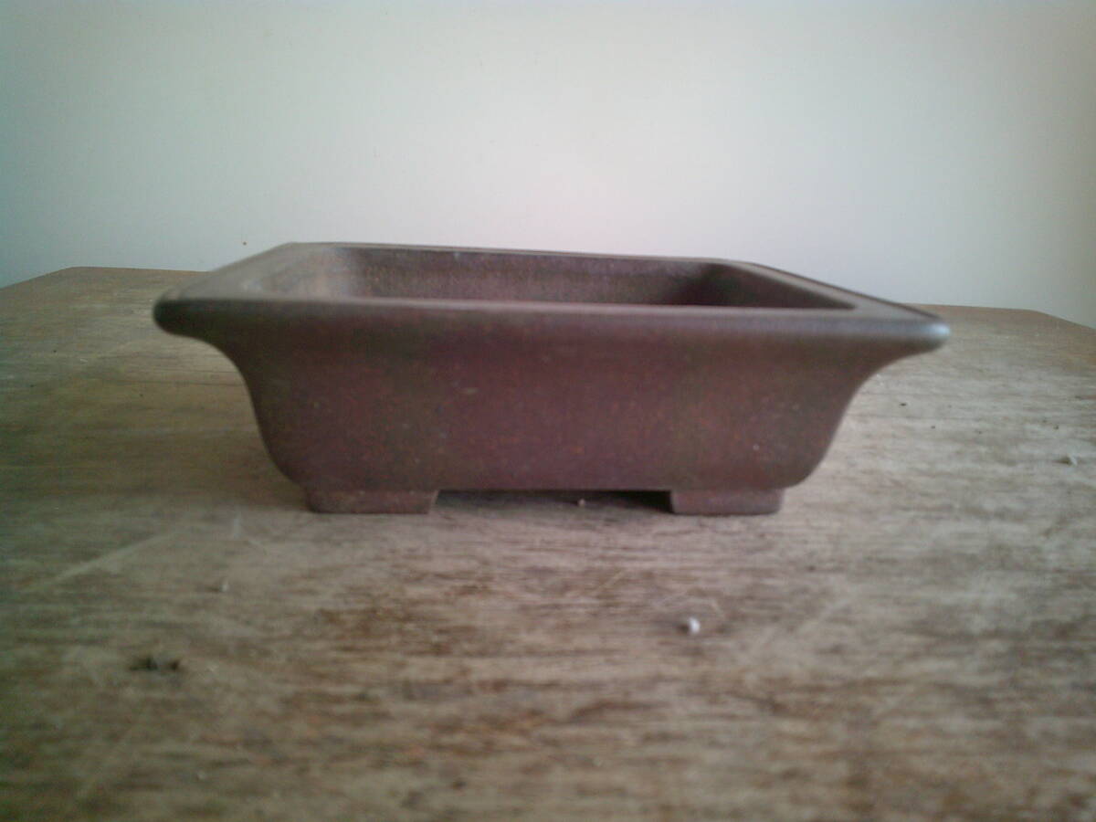 Yahoo!オークション -「小松泉」(盆栽用具) (盆栽)の落札相場・落札価格