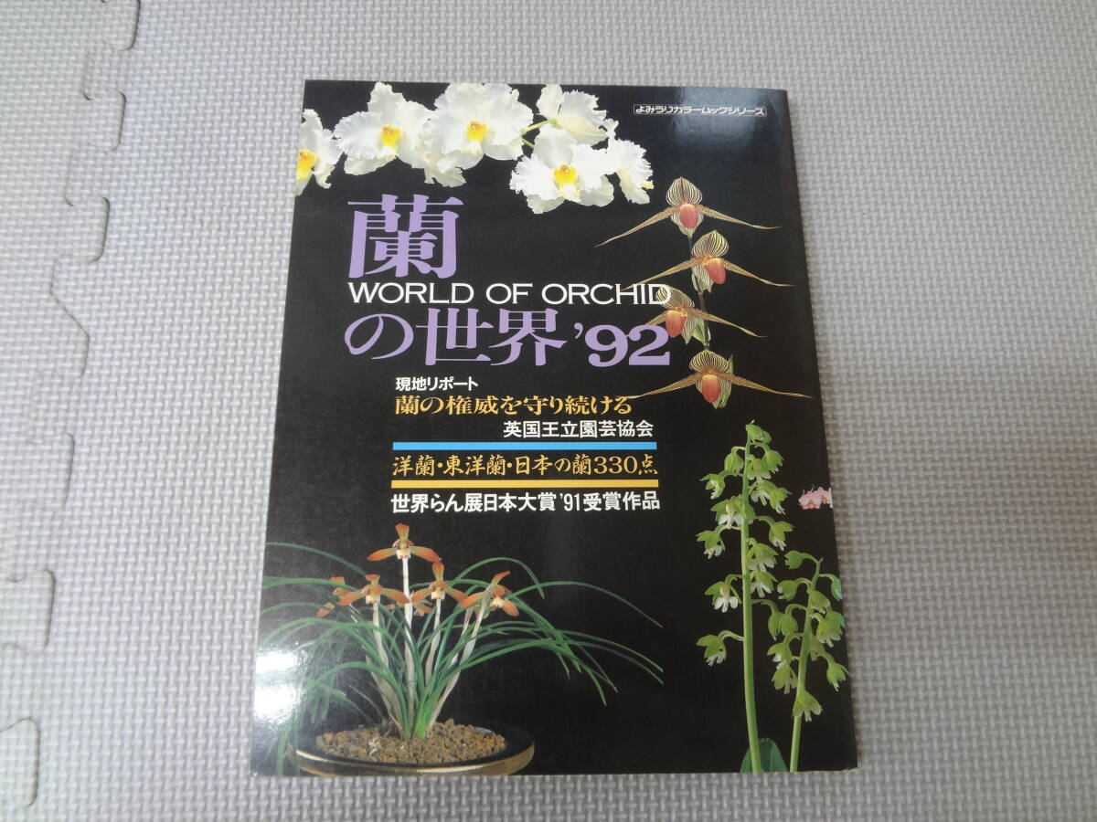 2026年最新】東洋蘭(Tōyōran)商品一覧 - Yahoo!オークション