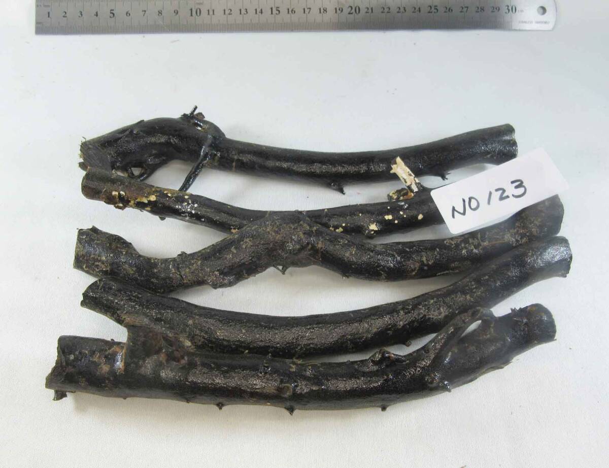 Yahoo!オークション -「海松 原木」の落札相場・落札価格