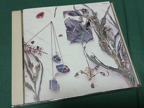 Yahoo!オークション -「真島昌利 夏のぬけがら」(ザ・ブルーハーツ