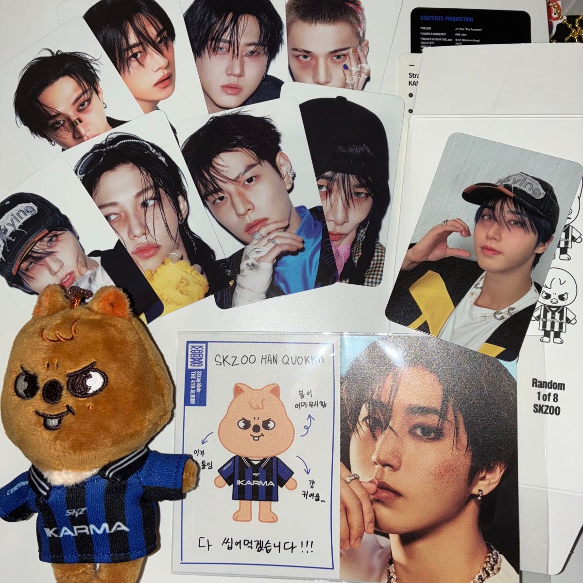 straykids スキズ トレカ 5/10 ハン Hollow エコパ 会場限定