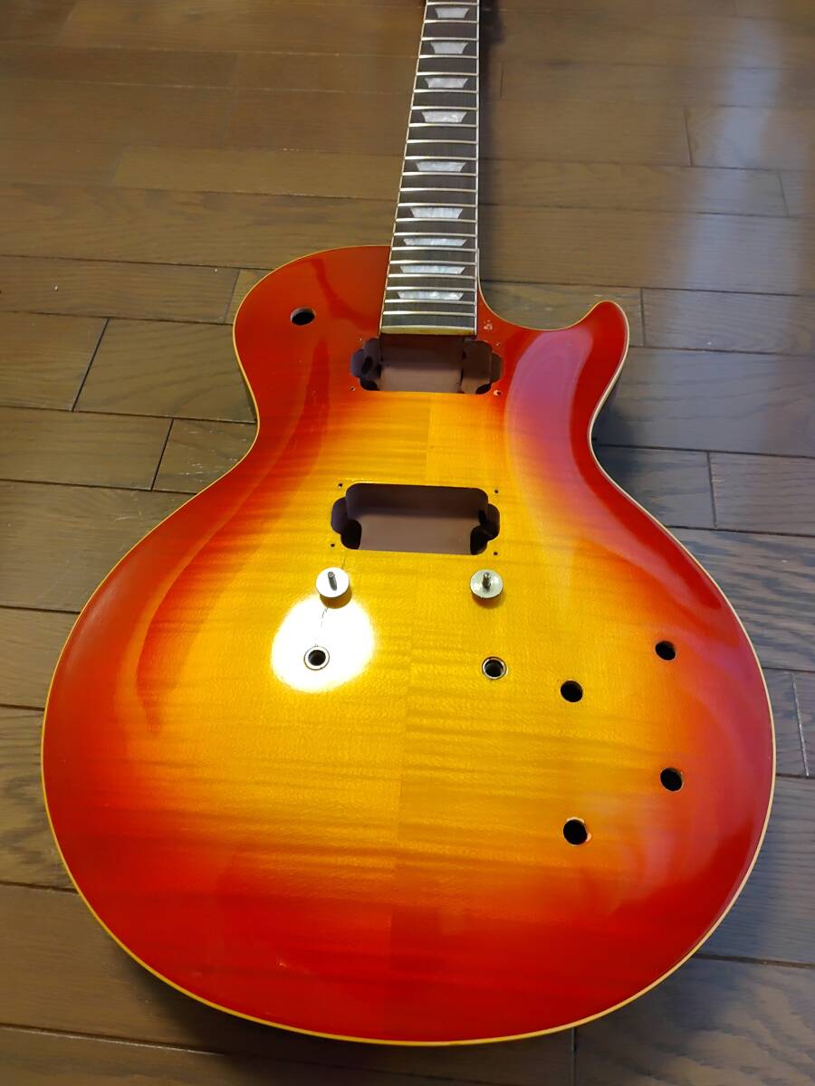 Yahoo!オークション -「抜け殻」(楽器、器材) の落札相場・落札価格