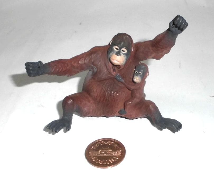 2026年最新】Yahoo!オークション -旭山動物園 オランウータンの中古品