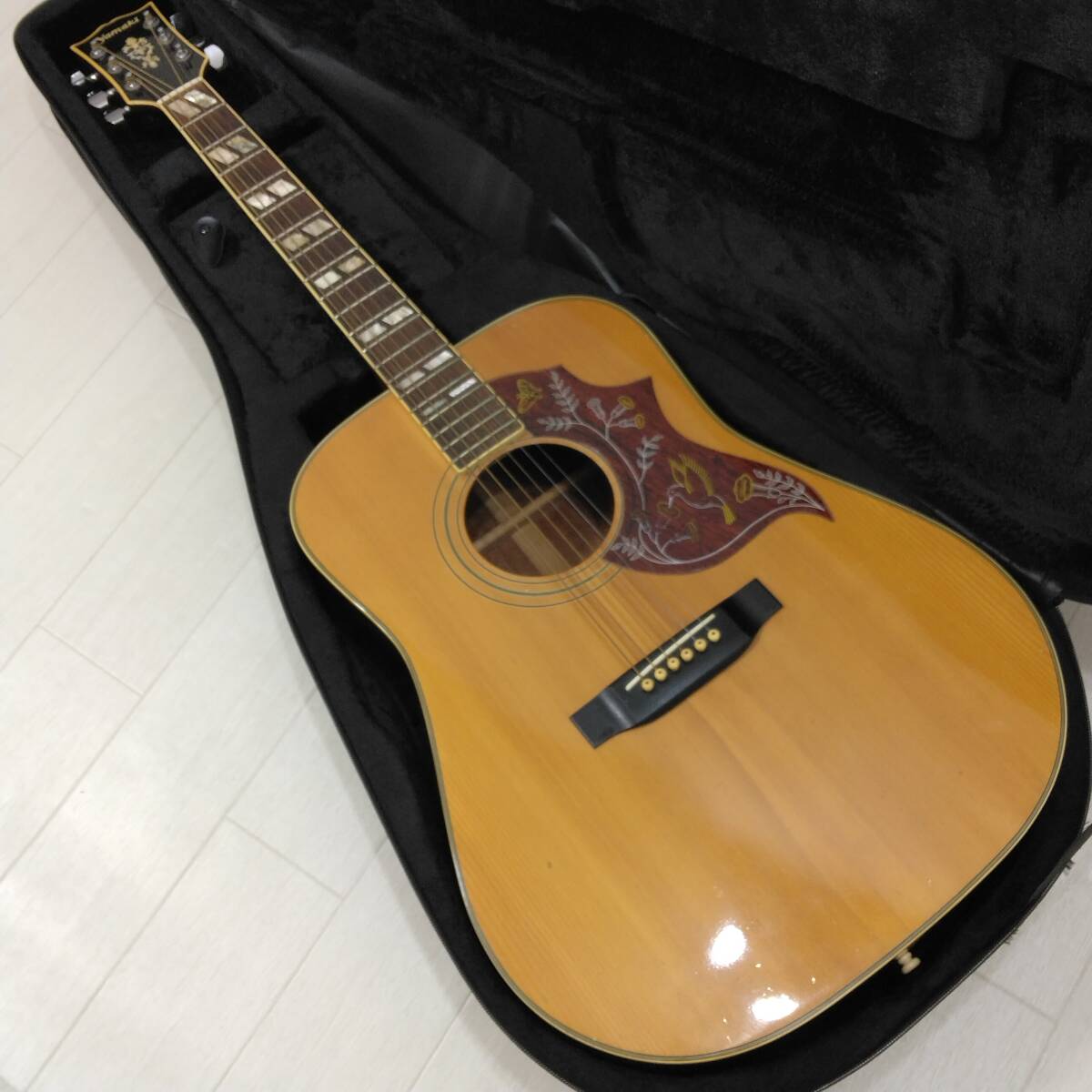 Yahoo!オークション -「ハミングバード」(その他) (本体)の落札相場