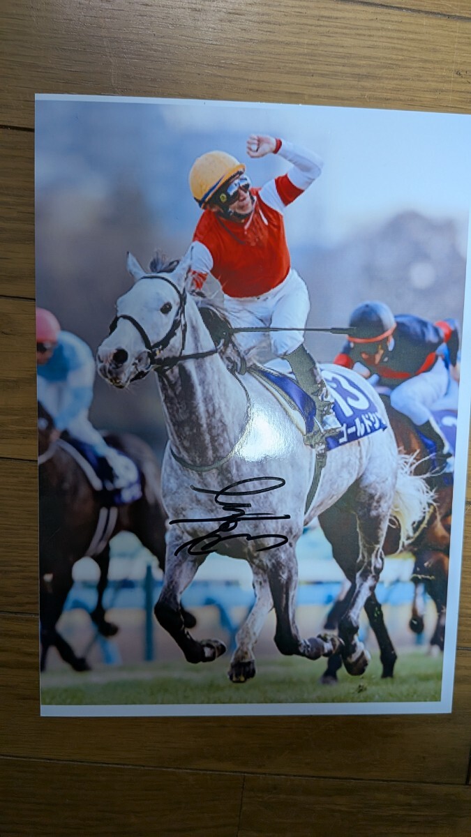 Yahoo!オークション -「ゴールドシップ 写真」の落札相場・落札価格