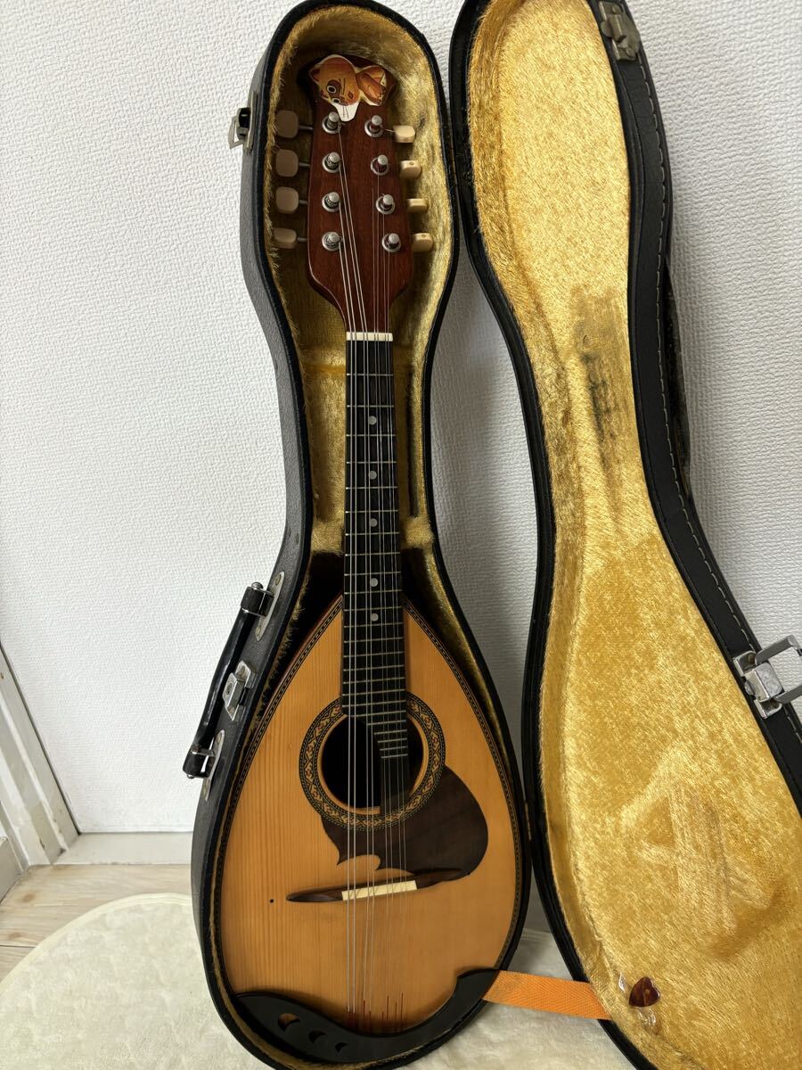 Yahoo!オークション -「m210」(弦楽器) (楽器、器材)の落札相場・落札価格