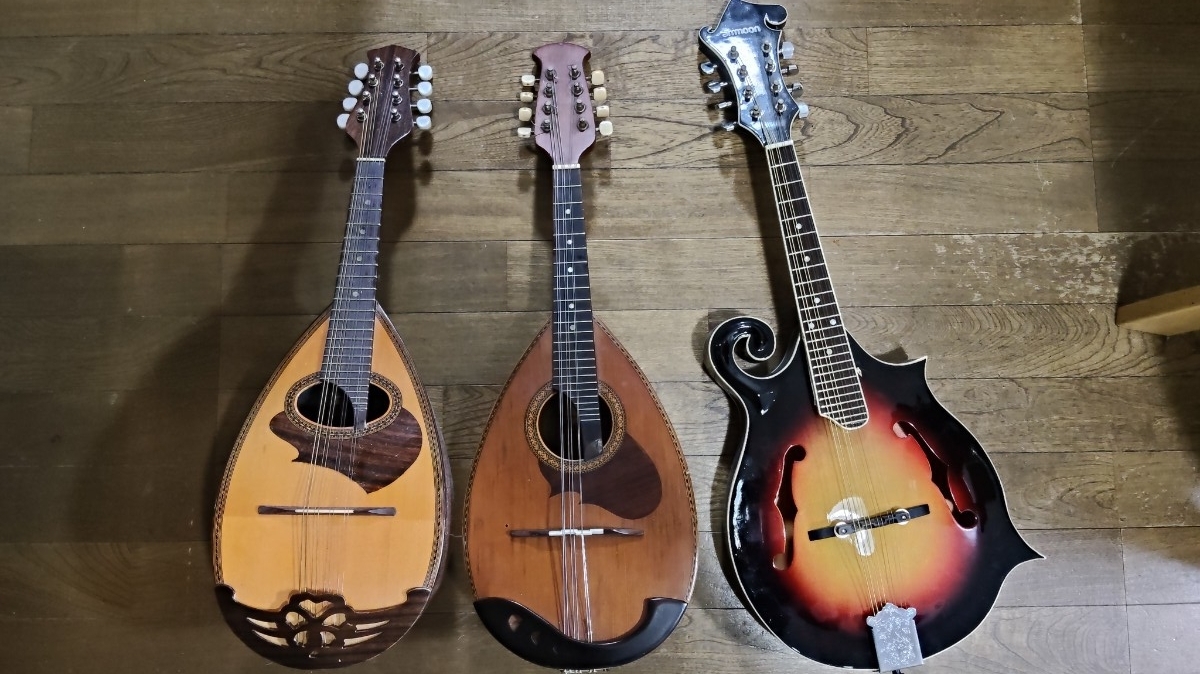 Yahoo!オークション -「m210」(弦楽器) (楽器、器材)の落札相場・落札価格